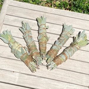 White Sage 1 stick 8”x 1” Organic New Hand Crafted